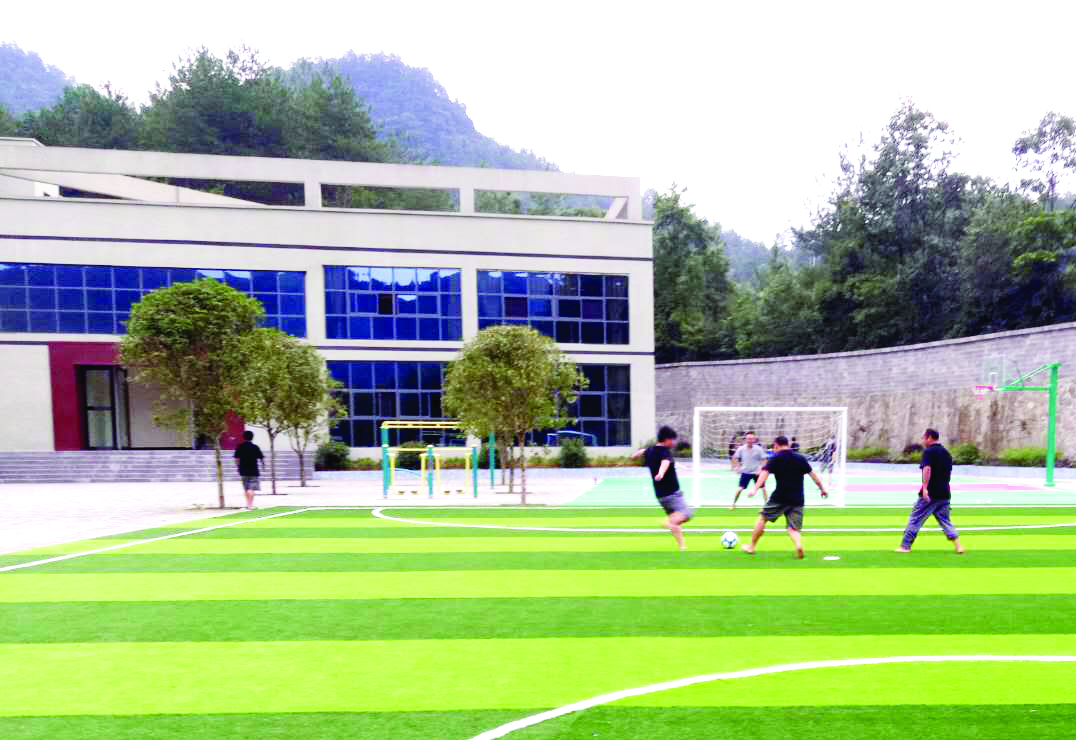 绿茵场上展风采