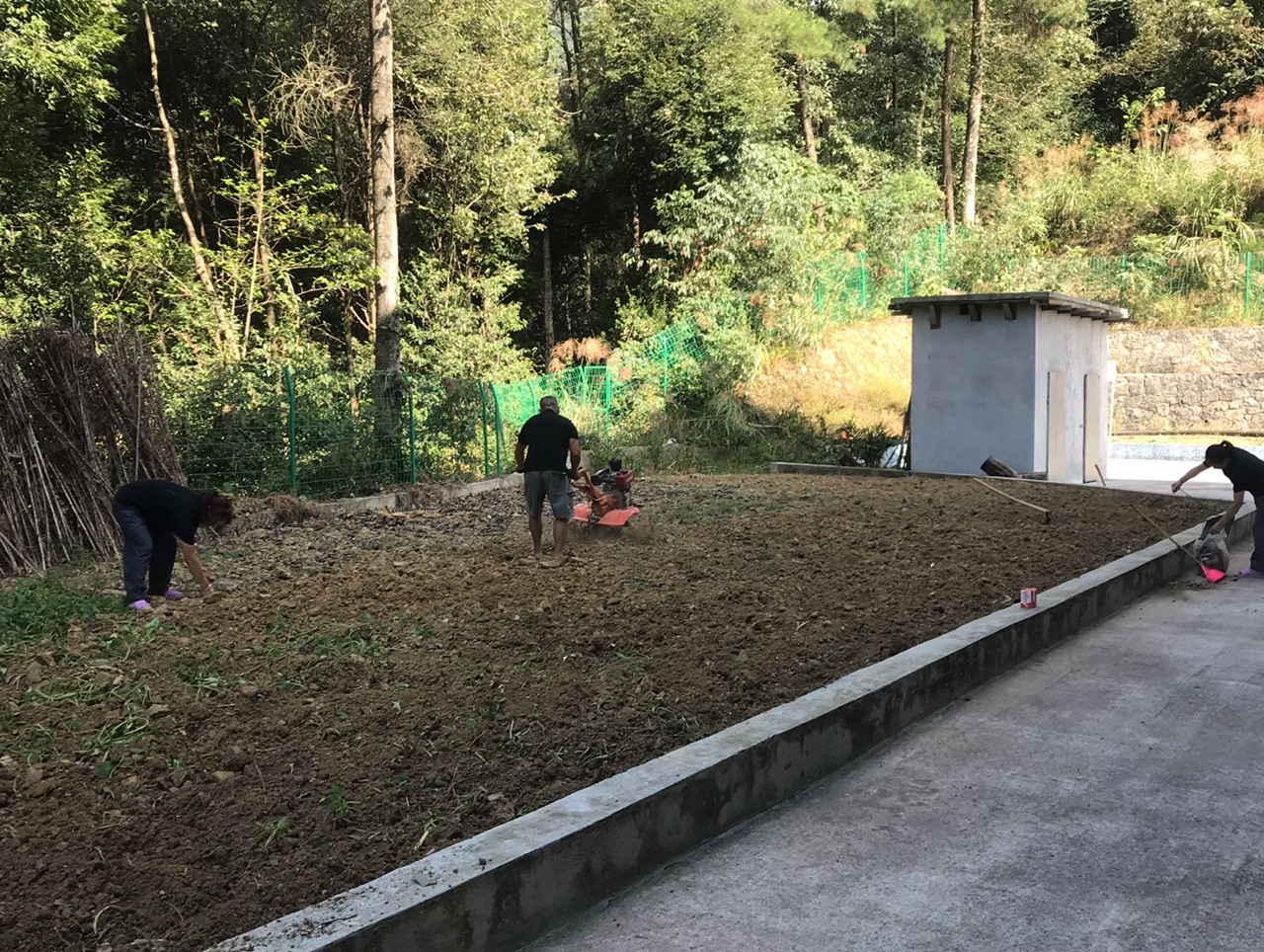 重庆69员工自力更生种蔬菜