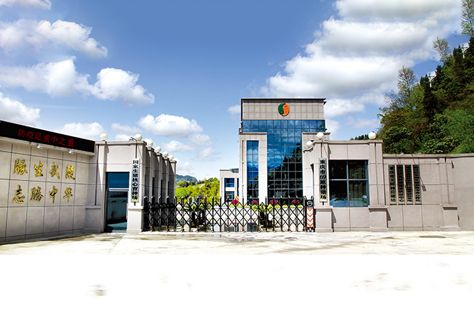 总经理罗云参加重庆市委农村工作会