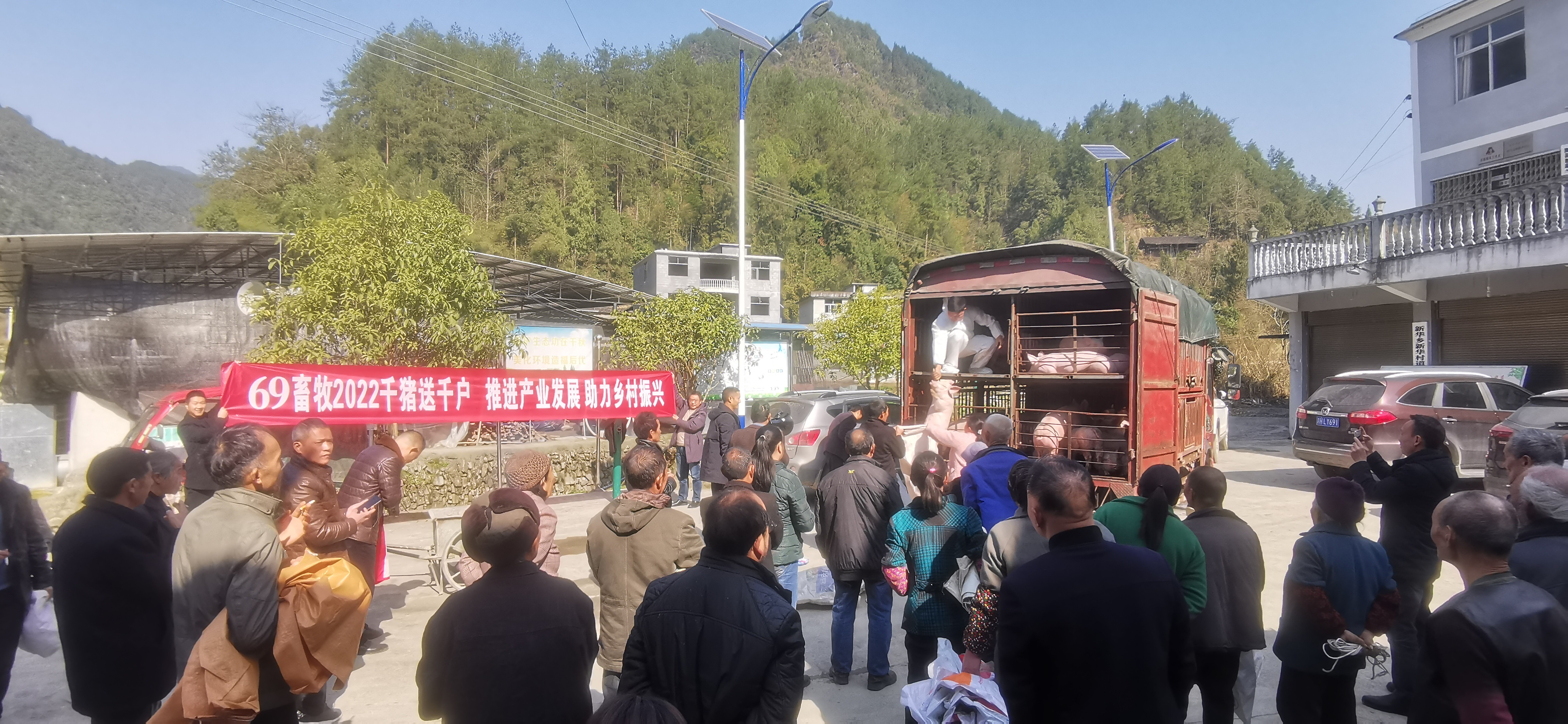 重庆69启动今年“千猪送千户”