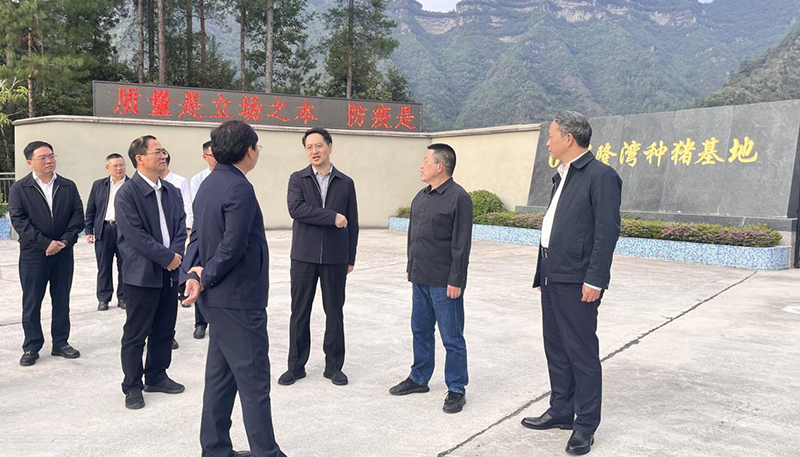 市领导郑向东到69畜牧公司调研指导