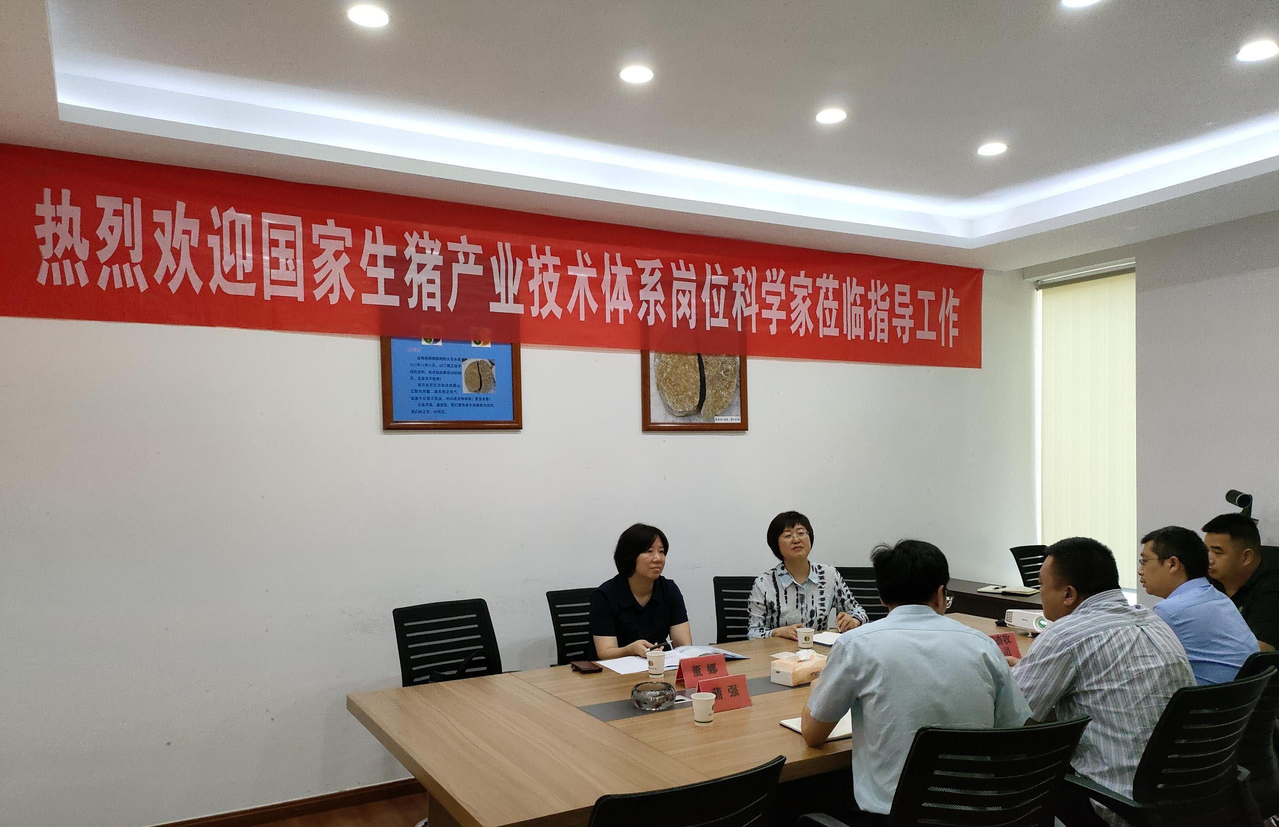 专家指导促发展&nbsp;&nbsp;砥砺前行正当时<br/>---国家生猪产业技术体系岗位科学家来我司指导交流