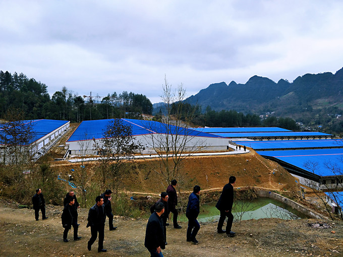 黔江区畜牧中心领导班子调研69畜牧项目