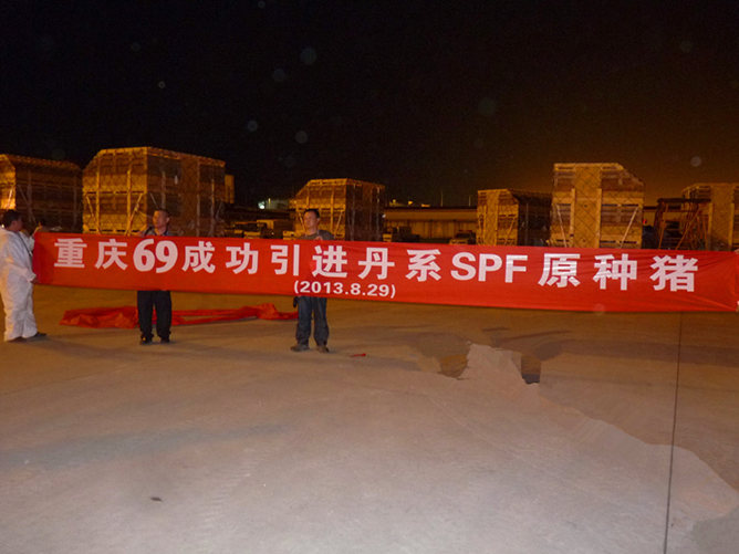 69特别报道 重庆69场再次从丹麦成功引种