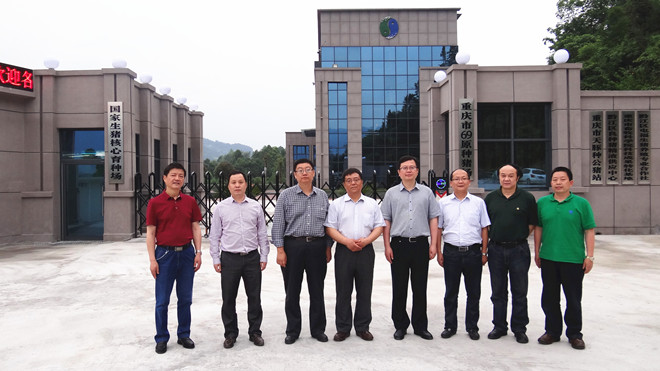 全国畜牧总站王宗礼站长、农业农村部畜牧兽医局孔亮副局长、王健处长等领导调研重庆69