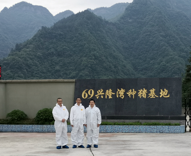 市农行袁毅一行到69畜牧调研