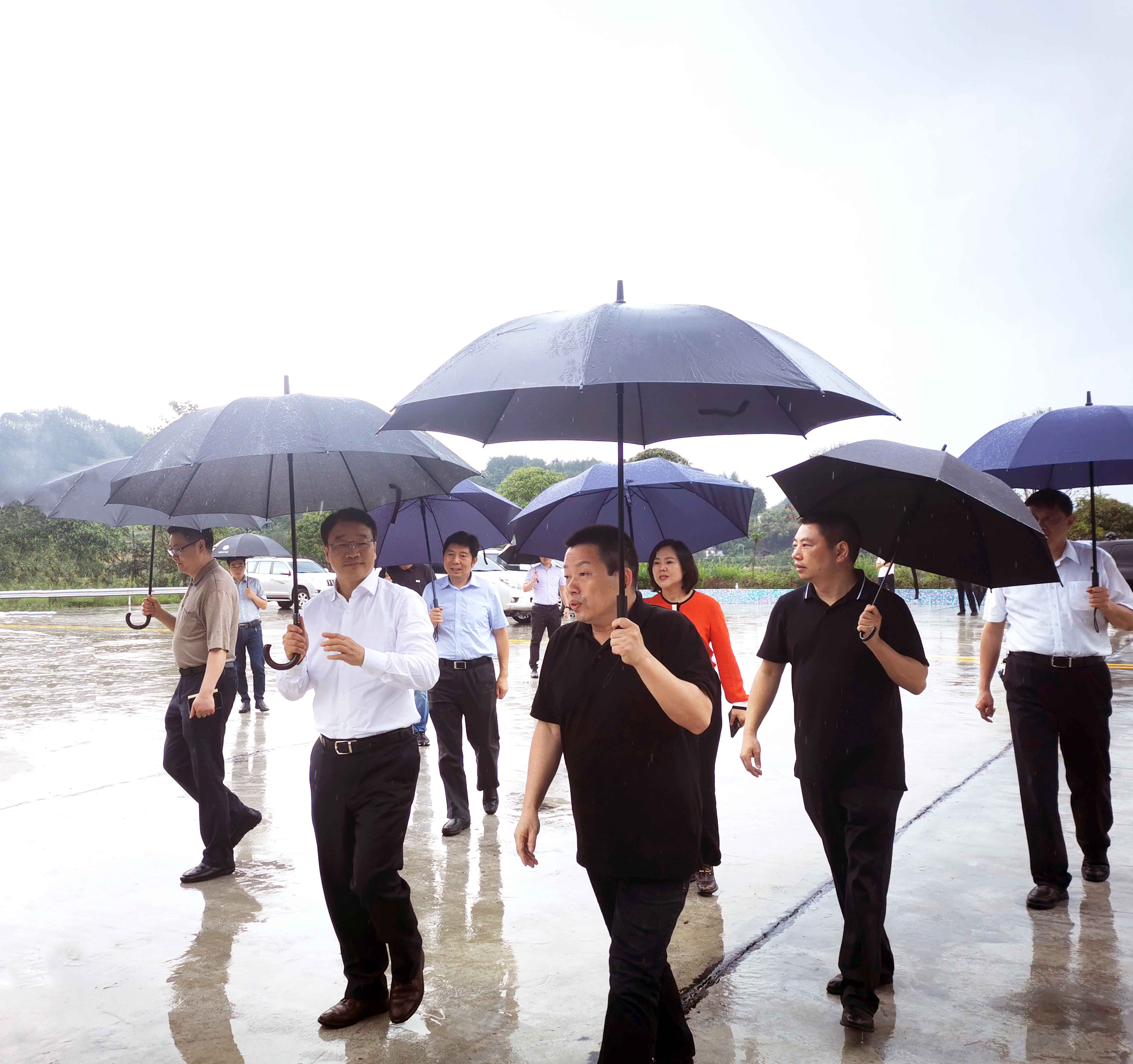 市领导李明清视察重庆69